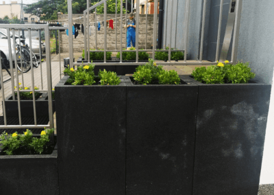 Kostka brukowa Poznań