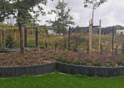 Kostka brukowa Poznań